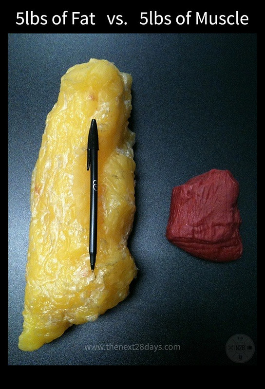 5 Pounds of Fat